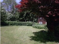 SONNIGER GARTEN nur ¤ 250,- p.M.