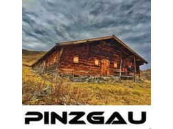 SUCHE Almhtte Pinzgau besten Skigebiet Anschlu - Haus kaufen - Bild 1