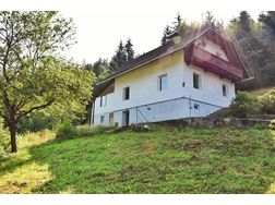 Sirnitz Bezirk Feldkirchen Einfamilienhaus Mglichkeiten - Haus kaufen - Bild 1