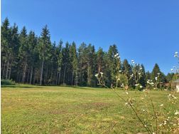 Ledenitzen Faaker See grozgiger Baugrund ebener Waldrandlage - Grundstck kaufen - Bild 1