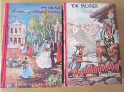Toni Falkner 2 Romane - Romane, Biografien, Sagen usw. - Bild 1