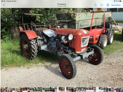 Oldtimer Traktor Krasser U4V Steyr - Traktoren & Schlepper - Bild 1