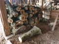 Brennholz verkaufen - Holz- & Pelletheizung - Bild 2