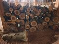 Brennholz verkaufen - Holz- & Pelletheizung - Bild 3
