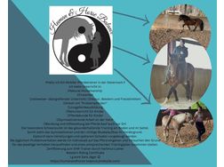 Mobiler Pferdetrainer - Pflege & Gesundheit - Bild 1