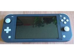 Nintendo switch lite Spiele Skyrim - Nintendo DS Konsolen - Bild 1