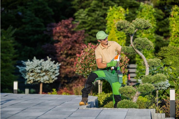 Gartenpflege Grünflächenbetreuung Gartenpflege Grünflächenbetreuung - Gartendekoraktion - Bild 1
