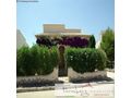 Kleine mediterran spanische Villa Zitronengelb Pool - Haus kaufen - Bild 4