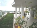 Fantastische Villa Hausherrn - Haus kaufen - Bild 6