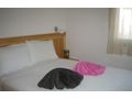 Wnderschne Wohnung groen Einrichtungen Gumusluk Bodrum - Wohnung kaufen - Bild 5