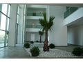 Pacifik Beach Residence PROVISIONSFREI - Wohnung kaufen - Bild 2