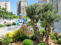 PROVISIONSFREI Luxus Wohnungen Antalya Eigentmer - Wohnung kaufen - Bild 5