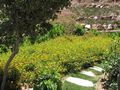 Luxus Meerblick Wohnung In Bodrum - Wohnung kaufen - Bild 4