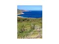 Super Grundstueck Insel Kreta - Grundstck kaufen - Bild 6