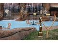 Luxusappartments Alanya gigantisch - Wohnung kaufen - Bild 12
