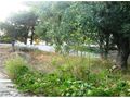 Wunderschönes Grundstück 700 qm Meer Insel Thasos - Grundstück kaufen - Bild 7