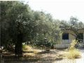 Wunderschönes Grundstück 700 qm Meer Insel Thasos - Grundstück kaufen - Bild 5