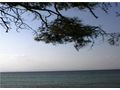 Wunderschönes Grundstück 700 qm Meer Insel Thasos - Grundstück kaufen - Bild 14