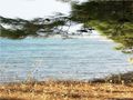 Wunderschönes Grundstück 700 qm Meer Insel Thasos - Grundstück kaufen - Bild 13