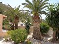 Mediterran spanische Villa 120 m Wohnflche tollem Garten - Haus kaufen - Bild 5