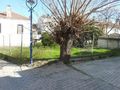 Wunderschne Wohnung 48 qm Chalkidike Poluchrono schnen Blick aufs Meer - Wohnung kaufen - Bild 11