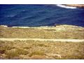 Willkommen Kykladen Insel Ios Insel Homer Traumes - Grundstück kaufen - Bild 14