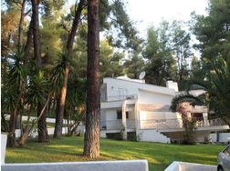 Luxus Villa zu vermieten in Chalkidike Sani Kassandra