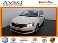 Skoda Fabia Active 1 - Autos Skoda - Bild 1