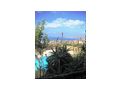 Kykladische Vollmblierte Villa 134 qm Insel Andros Ort Batsi - Haus kaufen - Bild 10