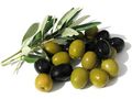 Oliven Plantage Chalkidiki Poluguros 200 000 qm - Grundstück kaufen - Bild 3