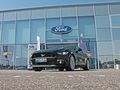 Ford Mustang GT Aut 5 V8 422PS WOW AKTION - Autos Ford - Bild 2
