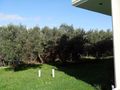 Ferienhaus 240 qm Wohnflche 820 qm Grundstck Chalkidike Portaria - Haus kaufen - Bild 18