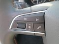 Seat Leon ST X Perience 2 TDI CR 4Drive - Autos Seat - Bild 9