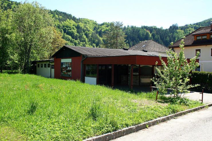 Döbriach am Millstätter See Ferienhaus Bungalow ehemaliger