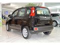 Fiat Panda 2you - Autos Fiat - Bild 5