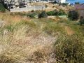 Wunderschönes Grundstück 1 600 qm einmaligen Blick aufs Meer Insel Kreta - Grundstück kaufen - Bild 12