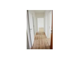 ... Wohnung Anzengruberstraße 3 Top 20 vermiet - Wohnung mieten - Bild 1