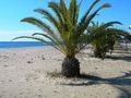 Einmaliger Preis 39 000 Euro Verhandlungen Ferienwohnung Nea Plagia Chalkidiki - Wohnung kaufen - Bild 9