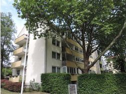 Froschberg großzügige Eigentumswohnung - Wohnung kaufen - Bild 1