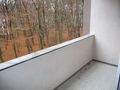Gut geschnittene 3 Zi Wohnung Karlsruhe Waldstadt - Wohnung mieten - Bild 8