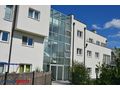 Dachterrassenwohnung Doppelgarage Gerasdorf - Wohnung mieten - Bild 2