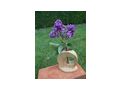 Handgemachte edle Blumenvasen - Vasen & Kunstpflanzen - Bild 5