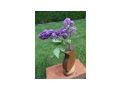 Blumenvase Vollholz - Vasen & Kunstpflanzen - Bild 2