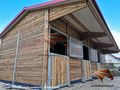 Aussenbox Pferdestall bauen Pferdebox - Einstellpltze - Bild 10