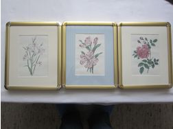 3 Blumenbilder - Poster, Drucke & Fotos - Bild 1