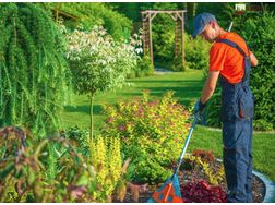 Fachgerechte Gartenarbeit - Gartendekoraktion - Bild 1