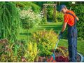 Fachgerechte Gartenarbeit - Gartendekoraktion - Bild 1