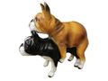 Dekohunde for love englische Bulldoggen - Rassehunde - Bild 2