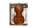 Alte Geige French Violin 1870 - Streichinstrumente - Bild 1