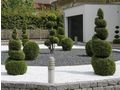 Ihr Gartenarchitekt Landschaftsgärtner - Gartendekoraktion - Bild 1